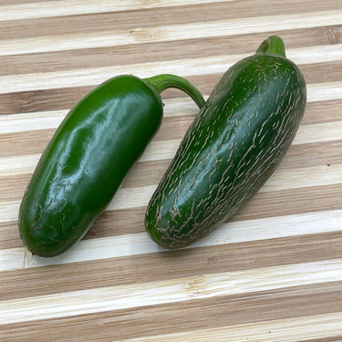 Jalapeño M - Seeds - The Pepper Pantry (Formerly Marie Sharp's)